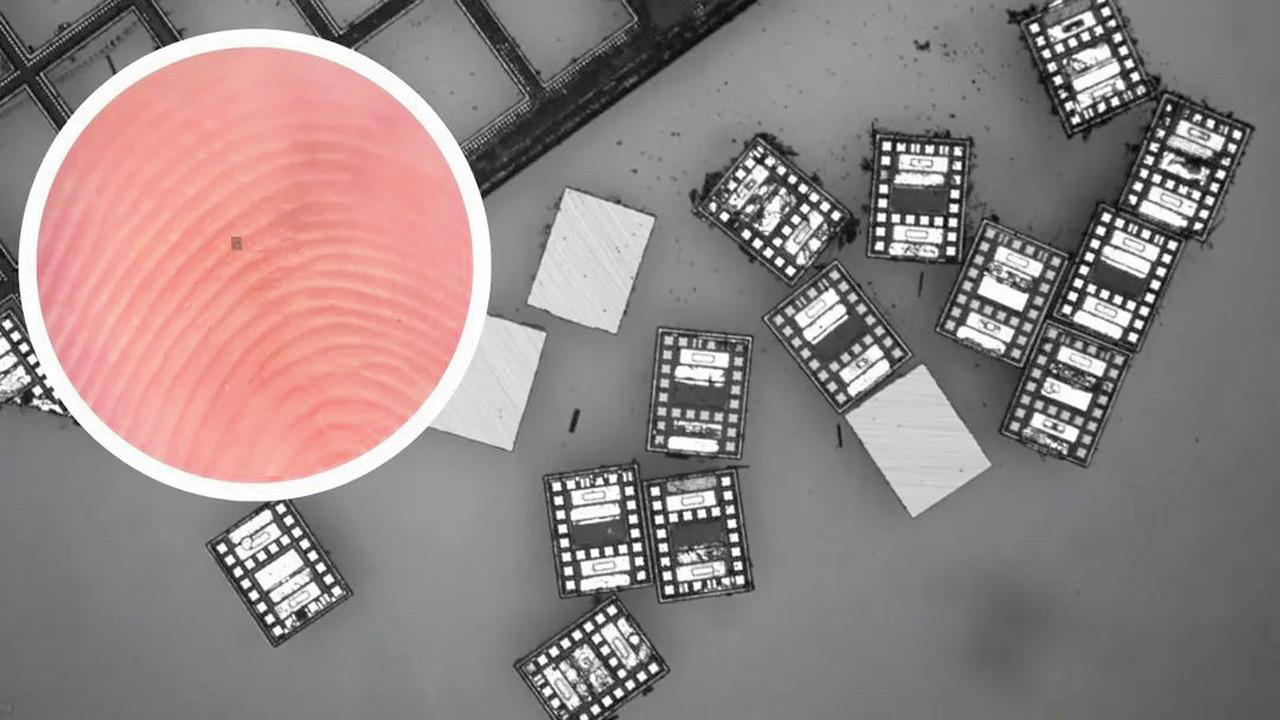 Ten robot wielkości ziarenka soli zrewolucjonizuje mikroskopijną robotykę.