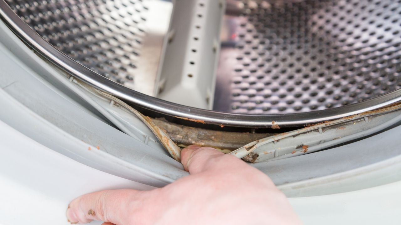 „Soda oczyszczona i ocet nie nadają się do czyszczenia pralek” – mówi Diego Fernandez, inżynier chemik.