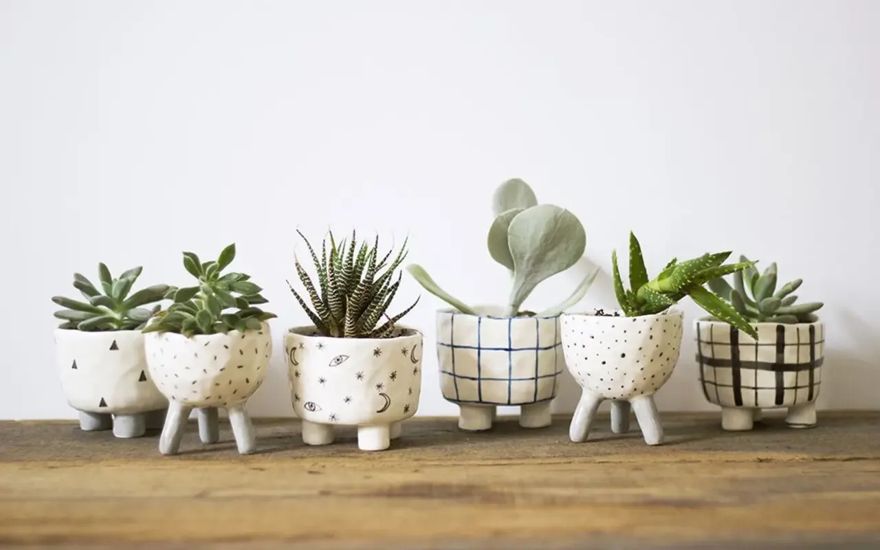 Dlaczego korki z korka tak skutecznie chronią rośliny zimą?