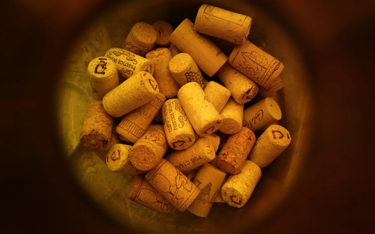 Dlaczego korki z korka tak skutecznie chronią rośliny zimą?