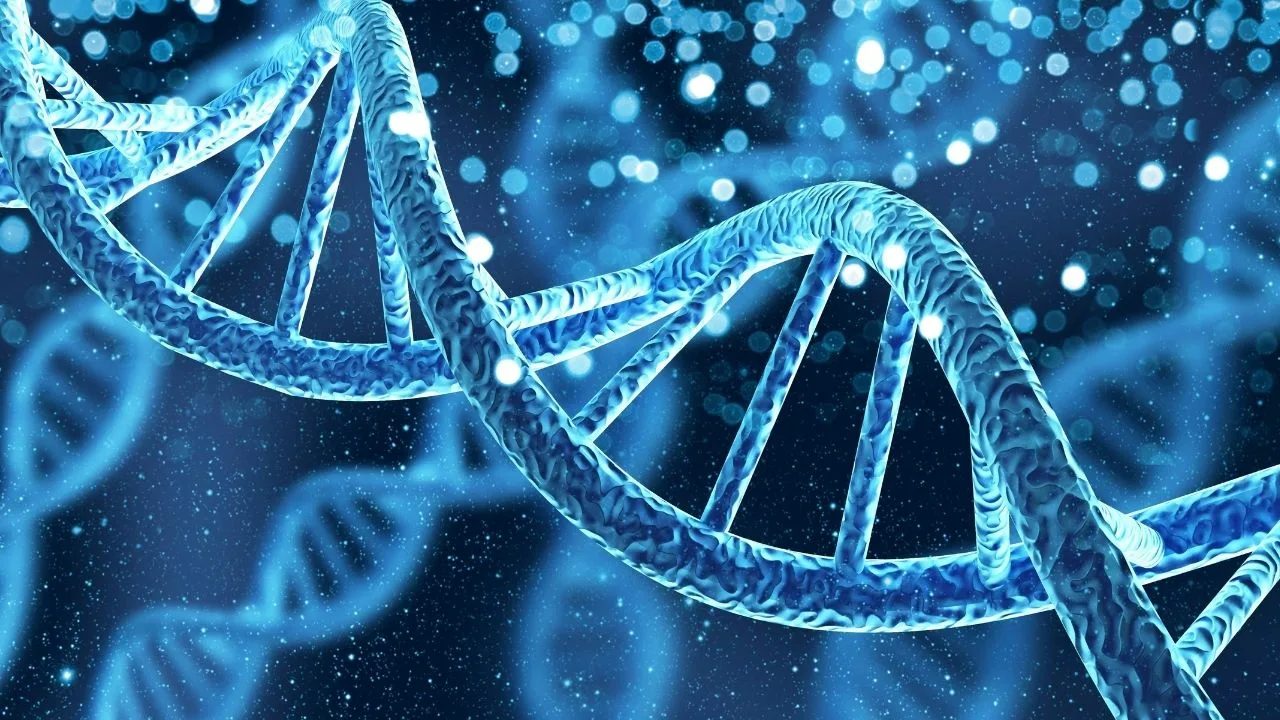 Granice długowieczności: geny mają większy wpływ na długość życia niż wcześniej sądzono.