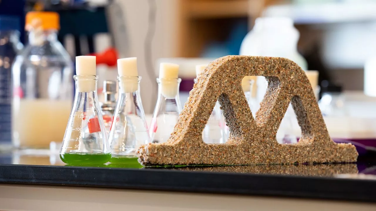 Jak wyglądają materiały budowlane wykonane z trzciny cukrowej, bakterii lub odpadów piwowarskich?