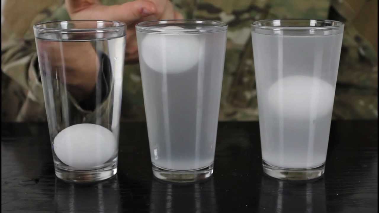 Dlaczego doświadczeni podróżnicy wkładają monetę do szklanki z wodą w zamrażarce: „lifehack na wypadek odcięcia prądu” w 2026 roku