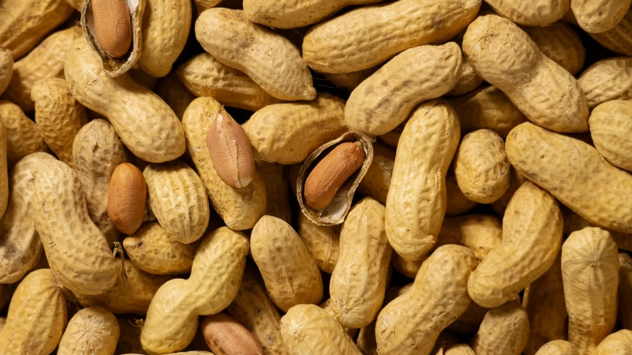 Najpopularniejszy orzech, który pomaga poprawić pamięć i funkcjonowanie mózgu.