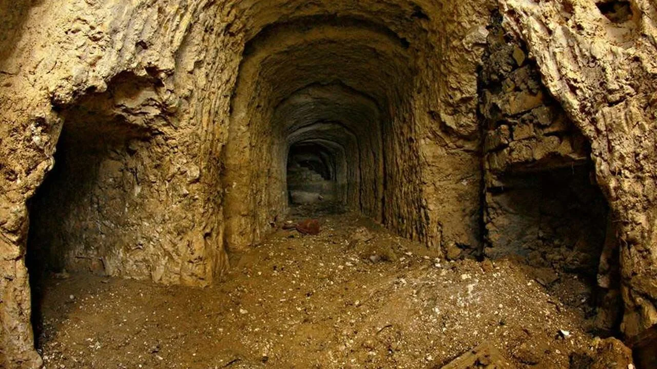 Naukowcy odkryli szczątki płaza sprzed 230 milionów lat, który przetrwał, zakopując się w błocie na kilka miesięcy.