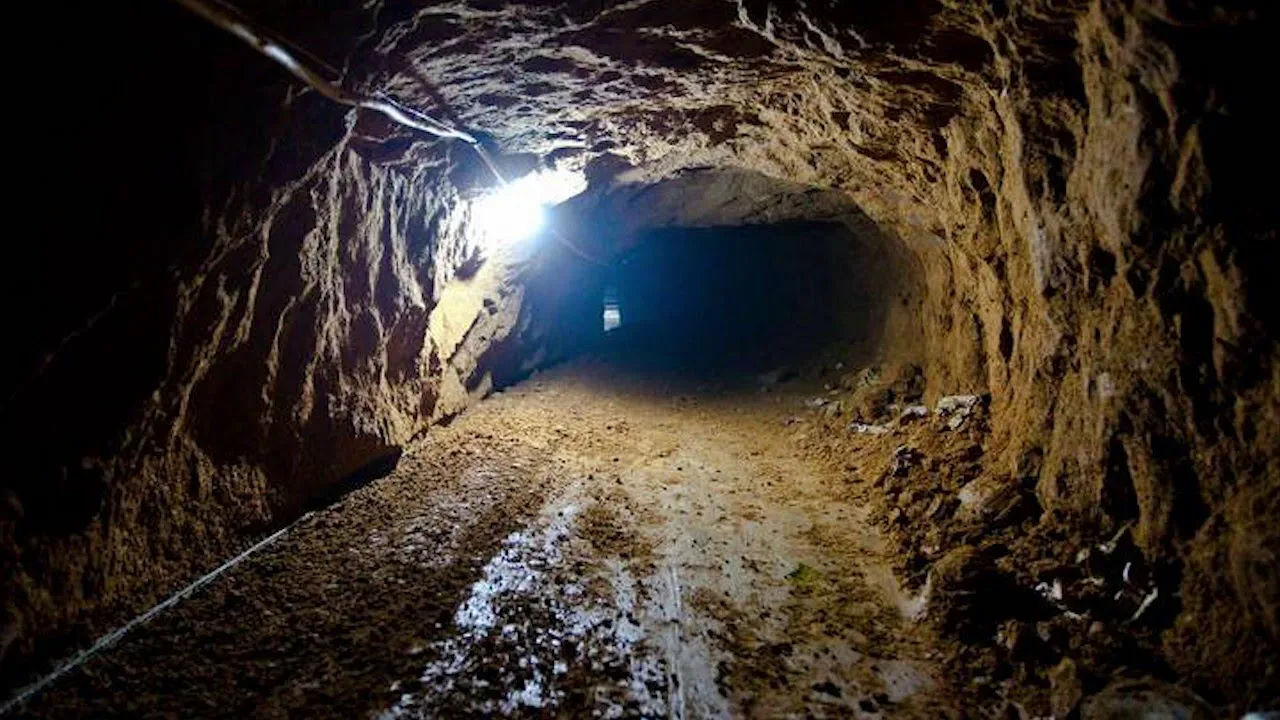 Naukowcy odkryli szczątki płaza sprzed 230 milionów lat, który przetrwał, zakopując się w błocie na kilka miesięcy.