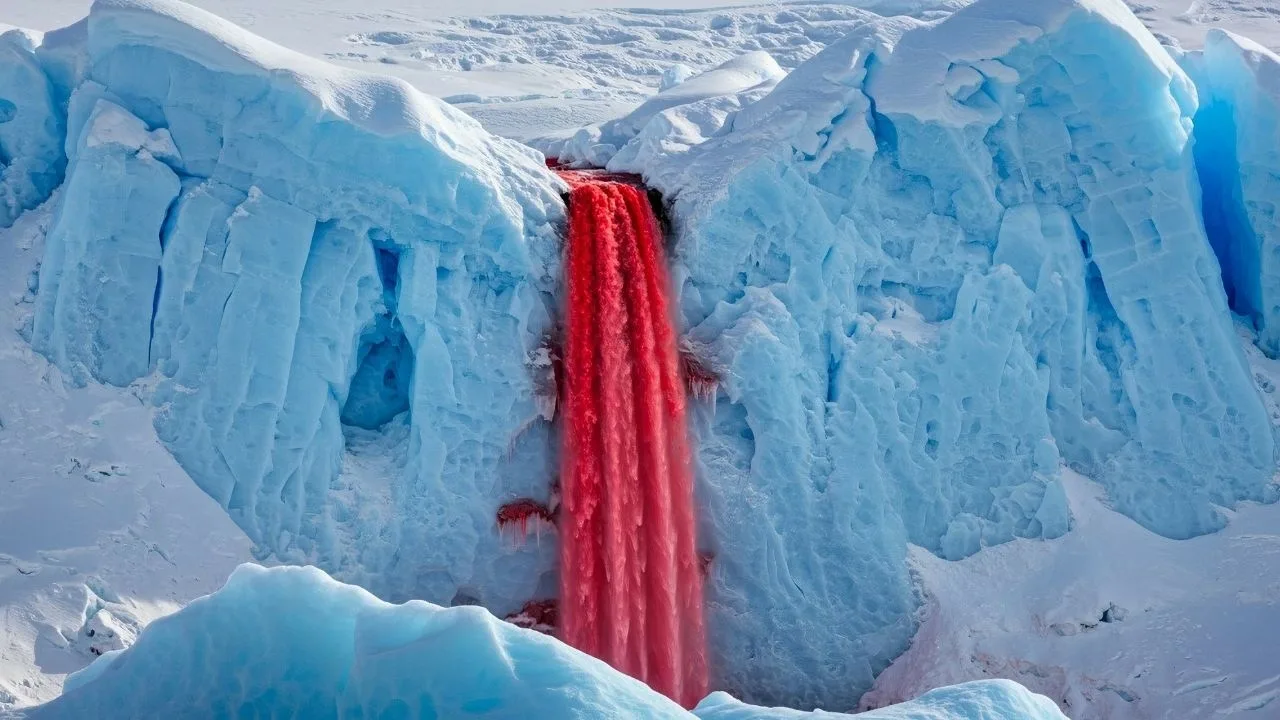 Krwawe wodospady: jak to niesamowite zjawisko w Antarktydzie od stulecia fascynowało naukowców.