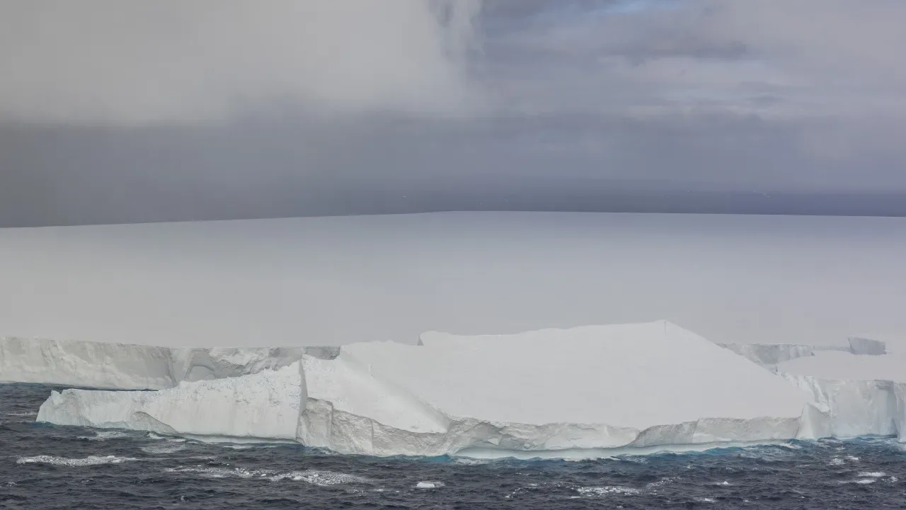 Niezwykłe odkrycie: bursztyn potwierdza, że 90 milionów lat temu na Antarktydzie były lasy.