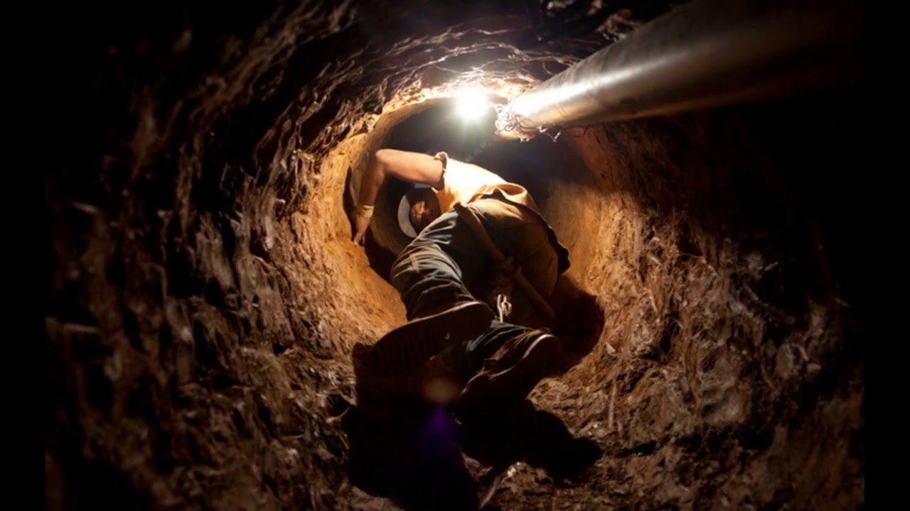 Naukowcy odkryli szczątki płaza sprzed 230 milionów lat, który przetrwał, zakopując się w błocie na kilka miesięcy.