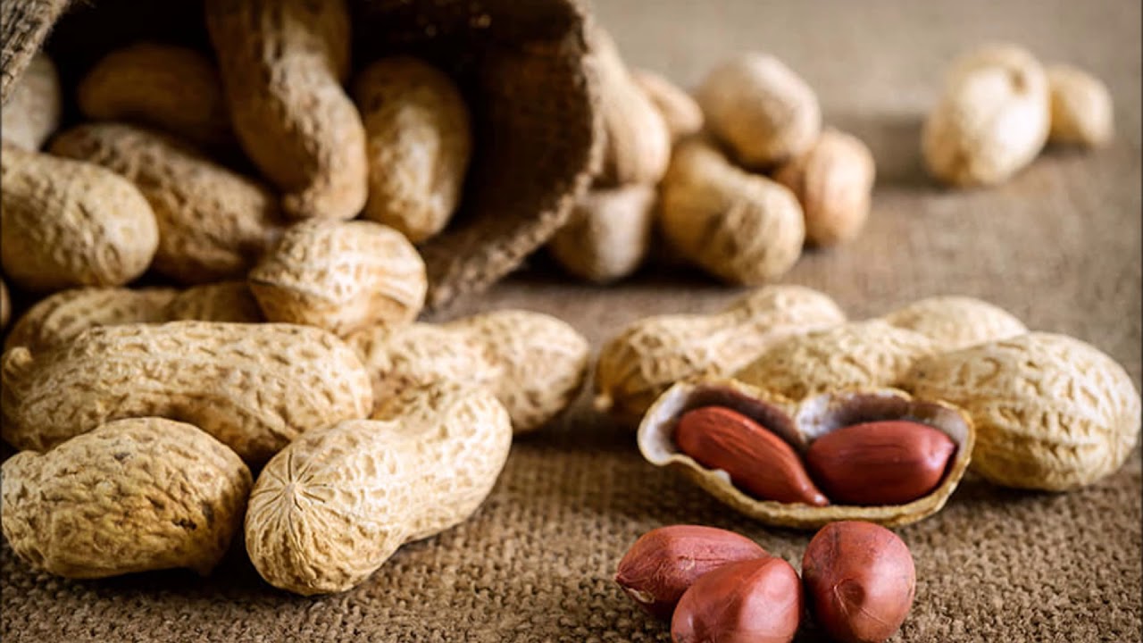 Najpopularniejszy orzech, który pomaga poprawić pamięć i funkcjonowanie mózgu.