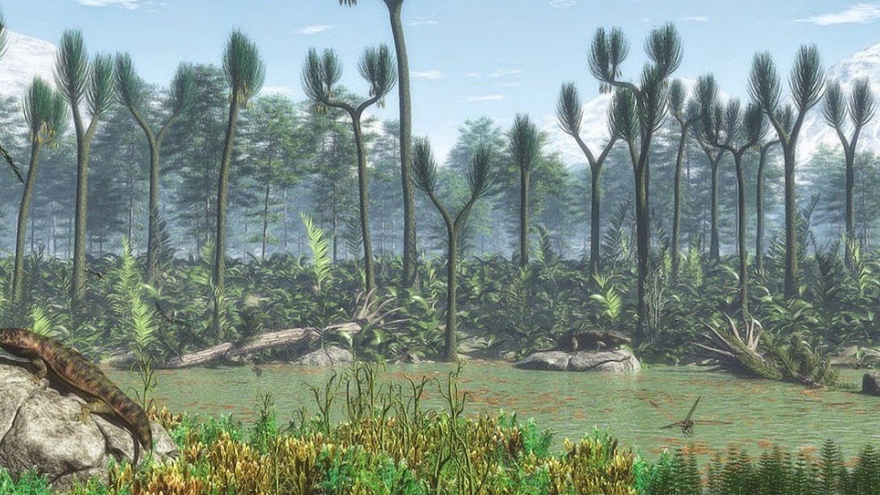 Badania rośliny liczącej 400 milionów lat wykazały istnienie unikalnego rodzaju wody, którego nie można sklasyfikować zgodnie z istniejącymi klasyfikacjami.