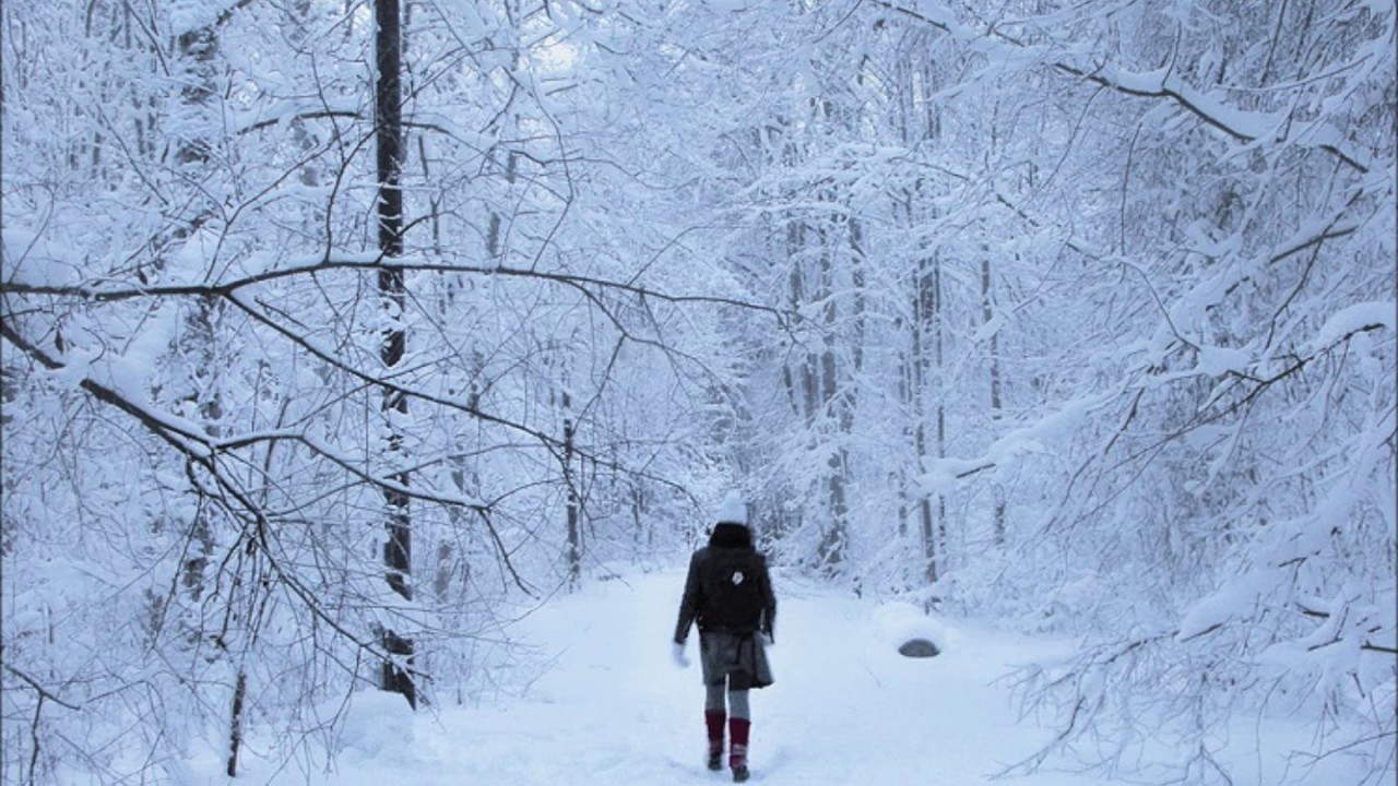Został wyrzucony z autobusu za brak biletu: 11-letni chłopiec przeszedł 6 kilometrów po śniegu, aby dotrzeć do domu.